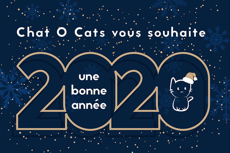Chat O Cats vous souhaite une bonne année 2020 !