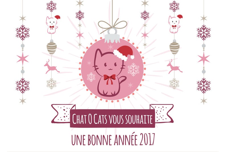 Chat O Cats vous souhaite une bonne année 2017 !