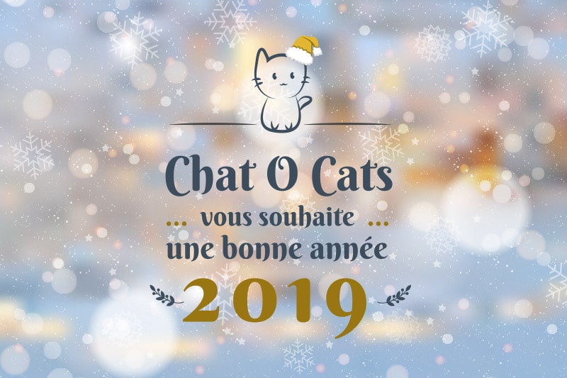 Chat O Cats vous souhaite une bonne année 2019 !