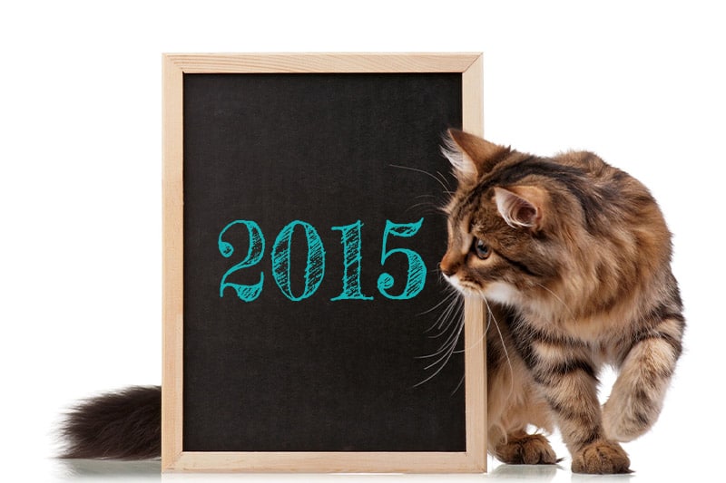 « La langue au chat » Décembre 2015