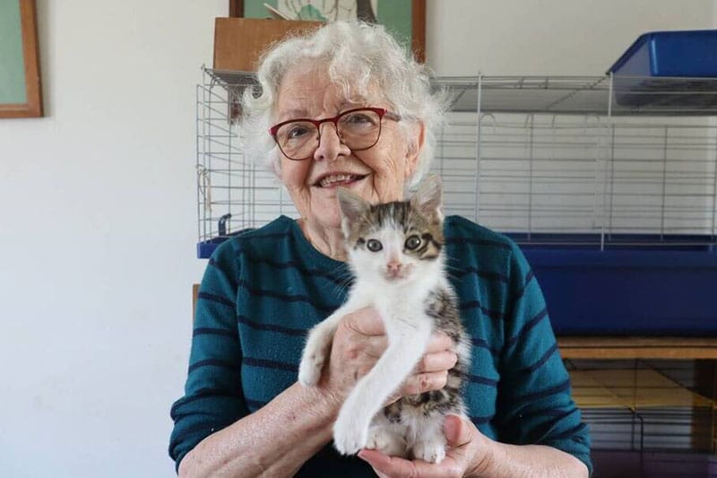 Ouest France : Chat O Cats a stérilisé 200 chats en 2023 et lance un appel aux dons