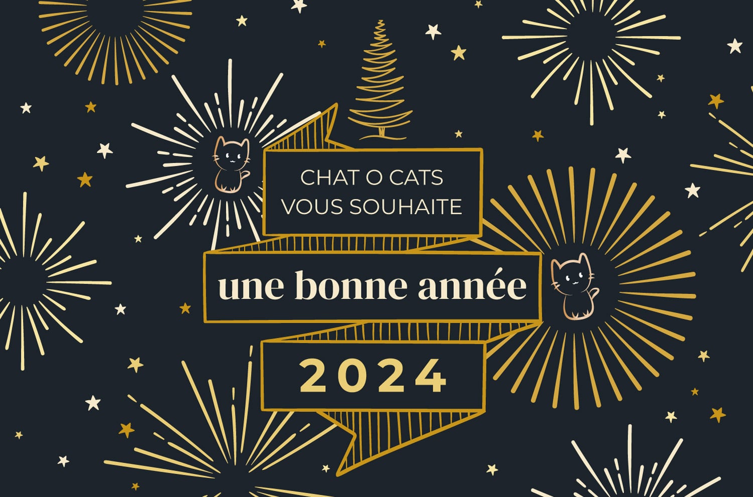 Chat O Cats vous souhaite une bonne année 2024 !