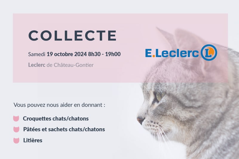 Collecte le 19 octobre 2024 au Leclerc de Château-Gontier