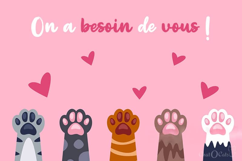 On a besoin de vous : nous recherchons des bénévoles et familles d’accueil ! 🙏​