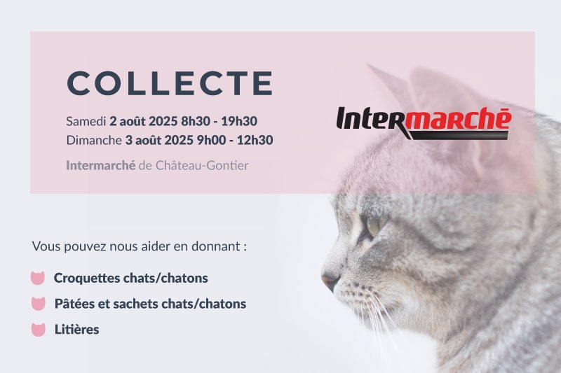 Collecte les 2 et 3 août 2025 à l'Intermarché de Château-Gontier