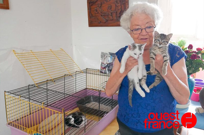 Ouest France : « Trop, c’est trop » : L’appel au secours de Chat-O-Cats face à l’explosion des abandons des chatons