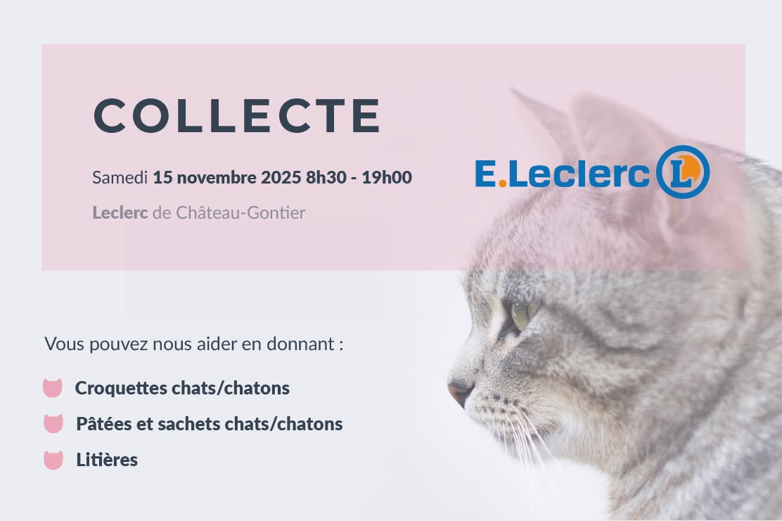 Collecte au Leclerc de Château-Gontier le 15 novembre 2025